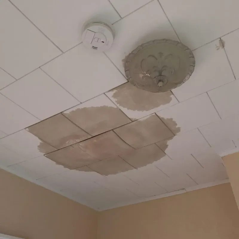 Ceiling Water Damage Repair in Charleston, WV