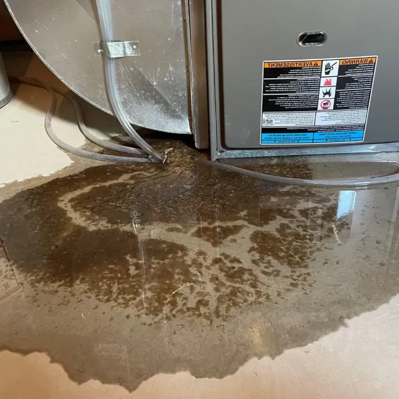 Pipe Burst and Leak Restoration in Charleston, WV